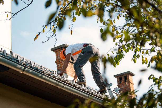 Best Residential Roofing Contractor  in East Dubuque, IL